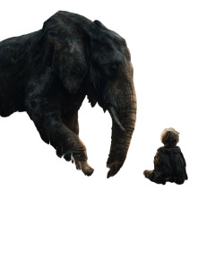Elephant And Child Vinyl Car Decal Sticker – Waterproof & UV-Resistant 