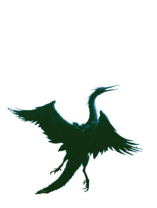 Majestic Nine-Headed Bird Vinyl Car Decal Sticker – Waterproof & UV-Resistant 
