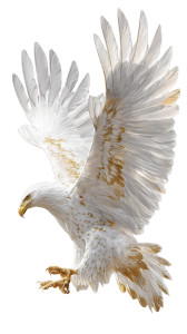 Golden Eagle Soaring V7 Vinyl Car Decal Sticker – Waterproof & UV-Resistant Golden Eagle Soaring V7 Vinyl Car Decal Sticker – Waterproof & UV-Resistant