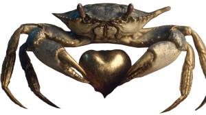 Crab With Heart Vinyl Car Decal Sticker – Waterproof & UV-Resistant 2.72" Crab With Heart Vinyl Car Decal Sticker – Waterproof & UV-Resistant 2.72"