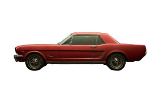 Noir Mustang Vinyl Car Decal Sticker – Waterproof & UV-Resistant 5.4