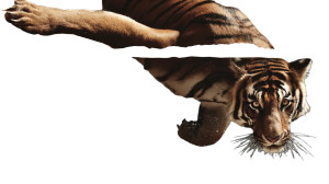 Diving Tiger Vinyl Car Decal Sticker – Waterproof & UV-Resistant 5.4