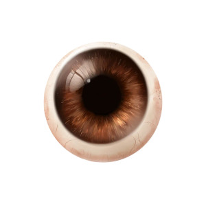 Brown Eyeball Vinyl Car Decal Sticker – Waterproof & UV-Resistant 6.826666666666667" Brown Eyeball Vinyl Car Decal Sticker – Waterproof & UV-Resistant 6.826666666666667"