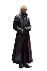 Shadar-Kai Elf Bard Vinyl Car Decal Sticker – Waterproof & UV-Resistant 4.4