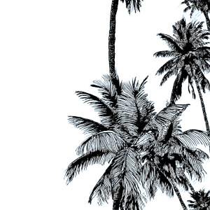 Palm Trees V3 Vinyl Car Decal Sticker – Waterproof & UV-Resistant 3.4133333333333336"