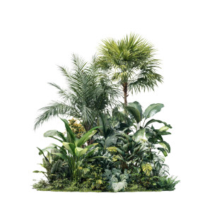 Tropical Plants Cluster Vinyl Car Decal Sticker – Waterproof & UV-Resistant 3.4133333333333336"