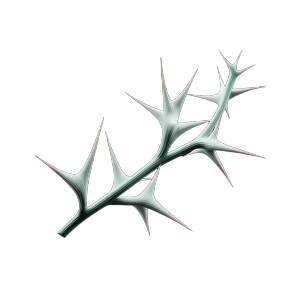 Abstract Thorny Plant Vinyl Car Decal Sticker – Waterproof & UV-Resistant 6.826666666666667"