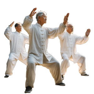 Tai Chi Garden Vinyl Car Decal Sticker – Waterproof & UV-Resistant 3.4133333333333336"