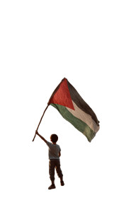 Palestinian Boy Flag V2 Vinyl Car Decal Sticker – Waterproof & UV-Resistant 9.706666666666667"