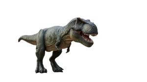 T-Rex In Nyc Vinyl Car Decal Sticker – Waterproof & UV-Resistant 5.4 T-Rex In Nyc Vinyl Car Decal Sticker – Waterproof & UV-Resistant 5.4