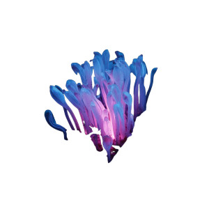 Luminous Tubers Vinyl Car Decal Sticker – Waterproof & UV-Resistant 3.4133333333333336" Luminous Tubers Vinyl Car Decal Sticker – Waterproof & UV-Resistant 3.4133333333333336"