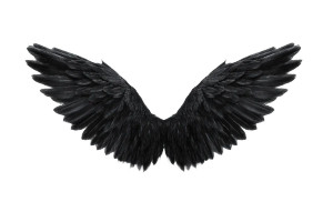 Black Angel Wings V4 Vinyl Car Decal Sticker – Waterproof & UV-Resistant 2.986666666666667"