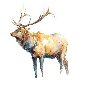 Watercolor Elk Sticker Vinyl Car Decal Sticker – Waterproof & UV-Resistant 3.4133333333333336" Watercolor Elk Sticker Vinyl Car Decal Sticker – Waterproof & UV-Resistant 3.4133333333333336"