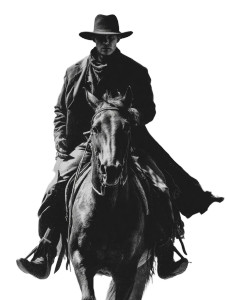 Cowboy On Horse V17 Vinyl Car Decal Sticker – Waterproof & UV-Resistant 8.213333333333333"