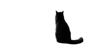 Apocalyptic Cat Silhouette Vinyl Car Decal Sticker – Waterproof & UV-Resistant 5.4 Apocalyptic Cat Silhouette Vinyl Car Decal Sticker – Waterproof & UV-Resistant 5.4