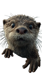 Terrified Baby Otter Vinyl Car Decal Sticker – Waterproof & UV-Resistant 4.8533333333333335"