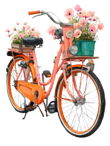 Floral Bicycle Illustration Vinyl Car Decal Sticker – Waterproof & UV-Resistant 4.1066666666666665" Floral Bicycle Illustration Vinyl Car Decal Sticker – Waterproof & UV-Resistant 4.1066666666666665"