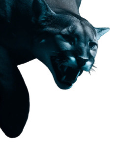 Puma Double Exposure Vinyl Car Decal Sticker – Waterproof & UV-Resistant 8.0"