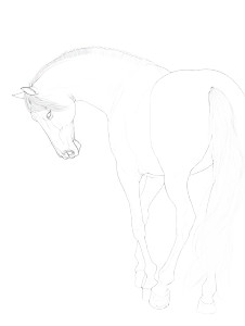 Elegant Horse Profile Vinyl Car Decal Sticker – Waterproof & UV-Resistant 8.213333333333333" Elegant Horse Profile Vinyl Car Decal Sticker – Waterproof & UV-Resistant 8.213333333333333"
