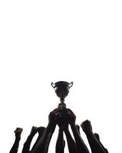 Cricket Victory Moment Vinyl Car Decal Sticker – Waterproof & UV-Resistant 8.0"