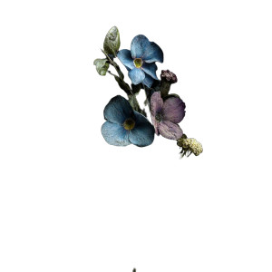 Sleeping Flower Hand Vinyl Car Decal Sticker – Waterproof & UV-Resistant 3.4133333333333336"