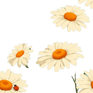 Chamomile V2 Vinyl Car Decal Sticker – Waterproof & UV-Resistant 6.826666666666667"
