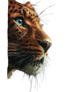 Wildlife Art V4 Vinyl Car Decal Sticker – Waterproof & UV-Resistant 8.213333333333333"