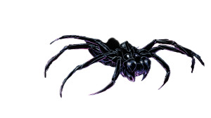 Arachidna Encounter Vinyl Car Decal Sticker – Waterproof & UV-Resistant 5.4