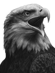 Bald Eagle Portrait V3 Vinyl Car Decal Sticker – Waterproof & UV-Resistant 8.213333333333333" Bald Eagle Portrait V3 Vinyl Car Decal Sticker – Waterproof & UV-Resistant 8.213333333333333"