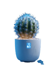 Lighted Cactus Pot Vinyl Car Decal Sticker – Waterproof & UV-Resistant 8.213333333333333"