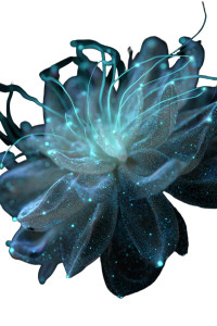 Stardust Flora Vinyl Car Decal Sticker – Waterproof & UV-Resistant 4.4