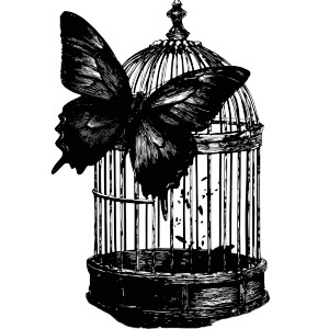 Escaping Butterfly Vinyl Car Decal Sticker – Waterproof & UV-Resistant 6.826666666666667"