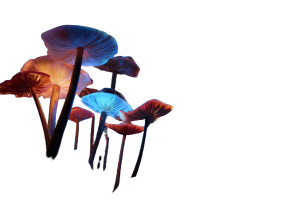 Glowing Jungle Flora Vinyl Car Decal Sticker – Waterproof & UV-Resistant 2.986666666666667"