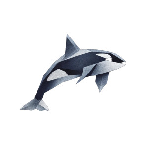 Angular Killer Whale Vinyl Car Decal Sticker – Waterproof & UV-Resistant 3.4133333333333336" Angular Killer Whale Vinyl Car Decal Sticker – Waterproof & UV-Resistant 3.4133333333333336"