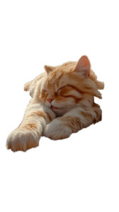 Giant Singing Cat V15 Vinyl Car Decal Sticker – Waterproof & UV-Resistant 4.8533333333333335" Giant Singing Cat V15 Vinyl Car Decal Sticker – Waterproof & UV-Resistant 4.8533333333333335"