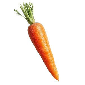 Whole Carrot Vinyl Car Decal Sticker – Waterproof & UV-Resistant 3.4133333333333336" Whole Carrot Vinyl Car Decal Sticker – Waterproof & UV-Resistant 3.4133333333333336"