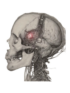 Neuralink Implant Illustration Vinyl Car Decal Sticker – Waterproof & UV-Resistant 8.213333333333333" Neuralink Implant Illustration Vinyl Car Decal Sticker – Waterproof & UV-Resistant 8.213333333333333"