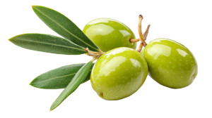 Green Olives V2 Vinyl Car Decal Sticker – Waterproof & UV-Resistant 5.4