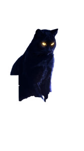 Giant Black Cat Vinyl Car Decal Sticker – Waterproof & UV-Resistant 9.706666666666667" Giant Black Cat Vinyl Car Decal Sticker – Waterproof & UV-Resistant 9.706666666666667"