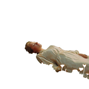 Sleeping In Flowers V3 Vinyl Car Decal Sticker – Waterproof & UV-Resistant 6.826666666666667"