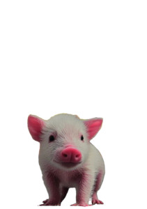 Piglet And Shuttle Vinyl Car Decal Sticker – Waterproof & UV-Resistant 4.32"