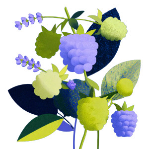 Raspberries And Lavender Vinyl Car Decal Sticker – Waterproof & UV-Resistant 6.826666666666667" Raspberries And Lavender Vinyl Car Decal Sticker – Waterproof & UV-Resistant 6.826666666666667"