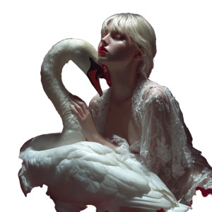 Leda And Swan V2 Vinyl Car Decal Sticker – Waterproof & UV-Resistant 3.4133333333333336" Leda And Swan V2 Vinyl Car Decal Sticker – Waterproof & UV-Resistant 3.4133333333333336"