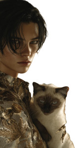 Thai Man With Cat Vinyl Car Decal Sticker – Waterproof & UV-Resistant 4.8533333333333335"