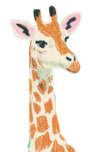 Abstract Giraffe Art Vinyl Car Decal Sticker – Waterproof & UV-Resistant 8.96" Abstract Giraffe Art Vinyl Car Decal Sticker – Waterproof & UV-Resistant 8.96"