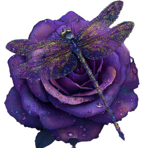 Sparkling Dragonfly Rose Vinyl Car Decal Sticker – Waterproof & UV-Resistant 3.4133333333333336" Sparkling Dragonfly Rose Vinyl Car Decal Sticker – Waterproof & UV-Resistant 3.4133333333333336"