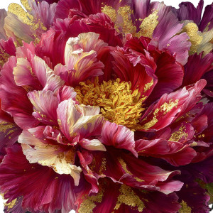 Blooming Peony Flowers Vinyl Car Decal Sticker – Waterproof & UV-Resistant 3.4133333333333336"