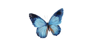 Butterfly In Bloom Vinyl Car Decal Sticker – Waterproof & UV-Resistant 2.72"