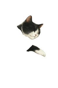 Cat In Dress Vinyl Car Decal Sticker – Waterproof & UV-Resistant 4.4