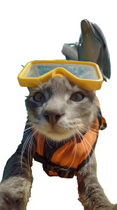 Cat On Dolphin Vinyl Car Decal Sticker – Waterproof & UV-Resistant 4.8533333333333335"